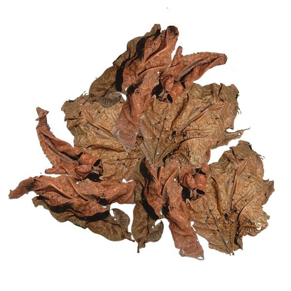 Djeka leaves (dried) – SHOP MARKET AFRICA