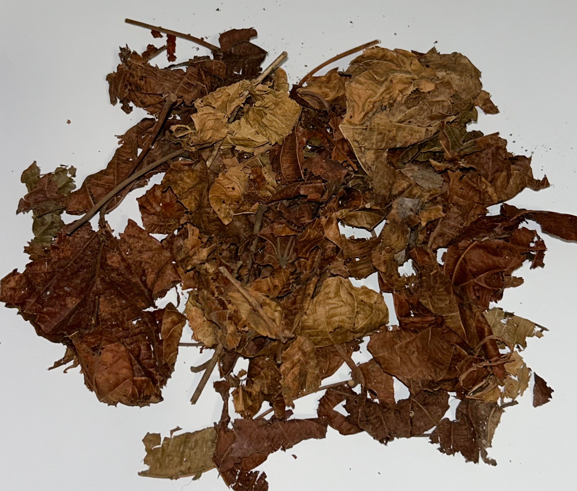 DJEKA leaves - Spices, Plants, Roots and Powders